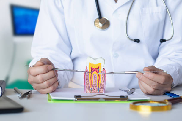 Best Mobile Emergency Dentist in New London, TX